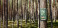 forest-with-first-aid-station-2023-utan-stockar_hero-2048x995